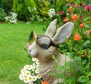 28th Jun 2014 - Join-4-June.Sunglasses. Garden bunny.