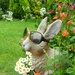 Join-4-June.Sunglasses. Garden bunny. by wendyfrost