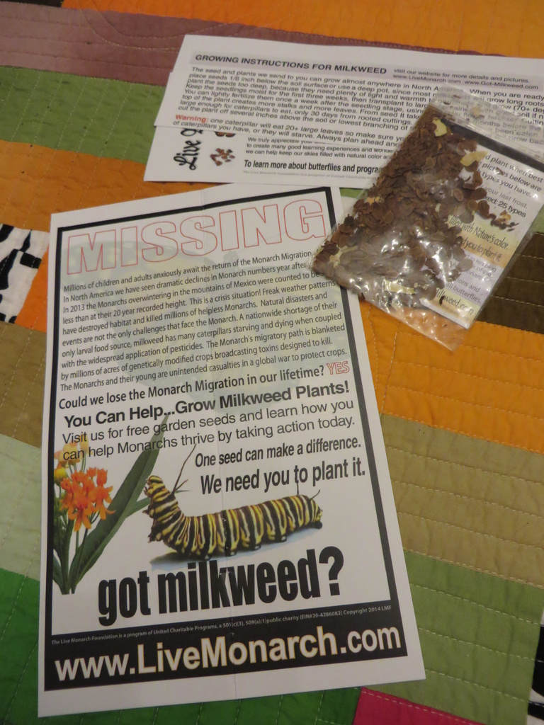 My milkweed seeds have arrived! by margonaut