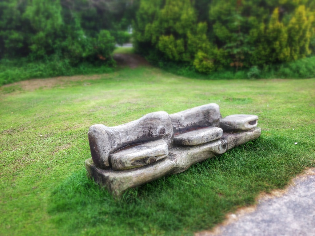 An unusual bench! by mattjcuk