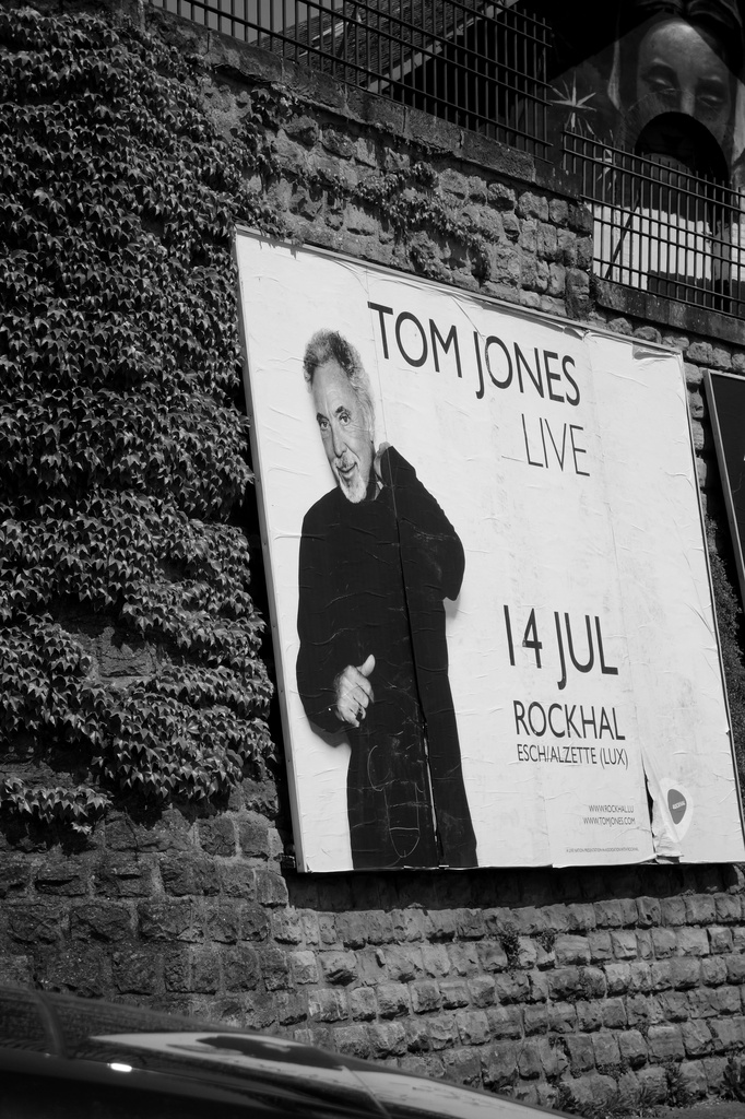Tom Jones playing in Luxembourg by overalvandaan