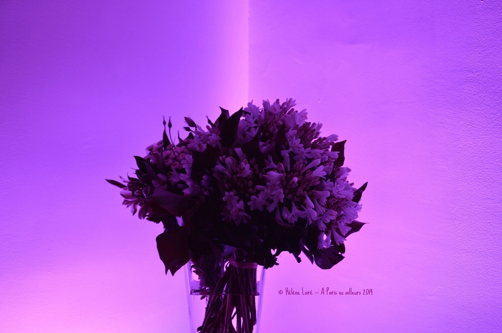 Purple light by parisouailleurs