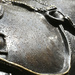 Rain drops on Bronze horse-Camden by padlock