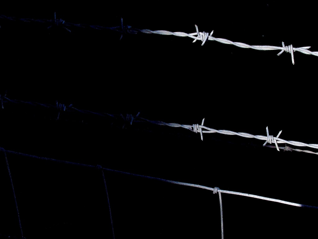 Barbed Wire by motherjane