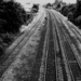 Train Tracks by newbank