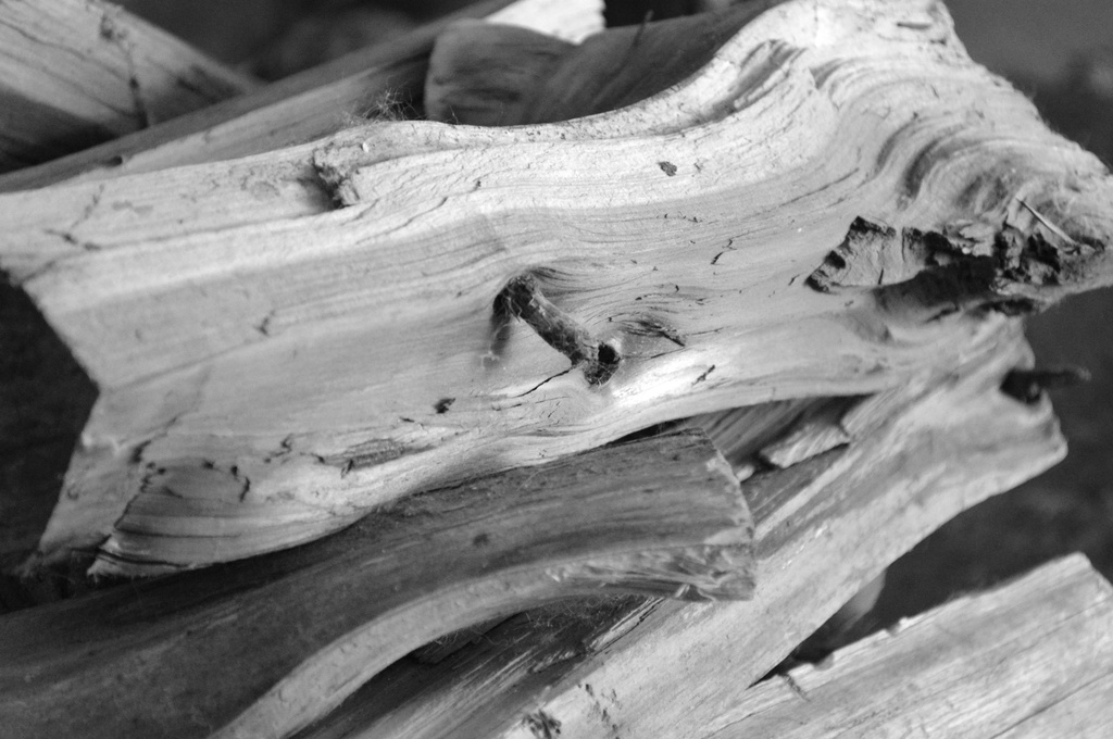 Just Wood  by mej2011
