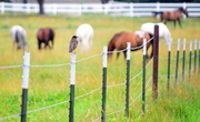 29th Jun 2014 - Country Breakfast