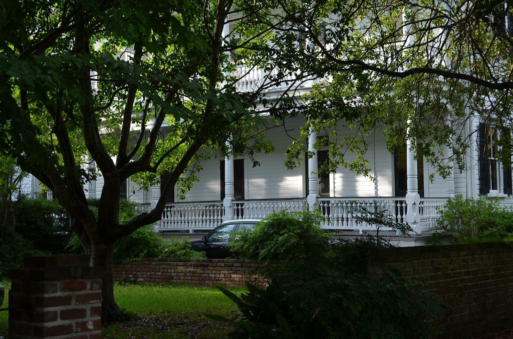 Charleston historic district by congaree