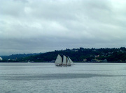 28th Jun 2014 - Sails