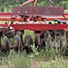 Rusted Farm Disc Plow by harbie