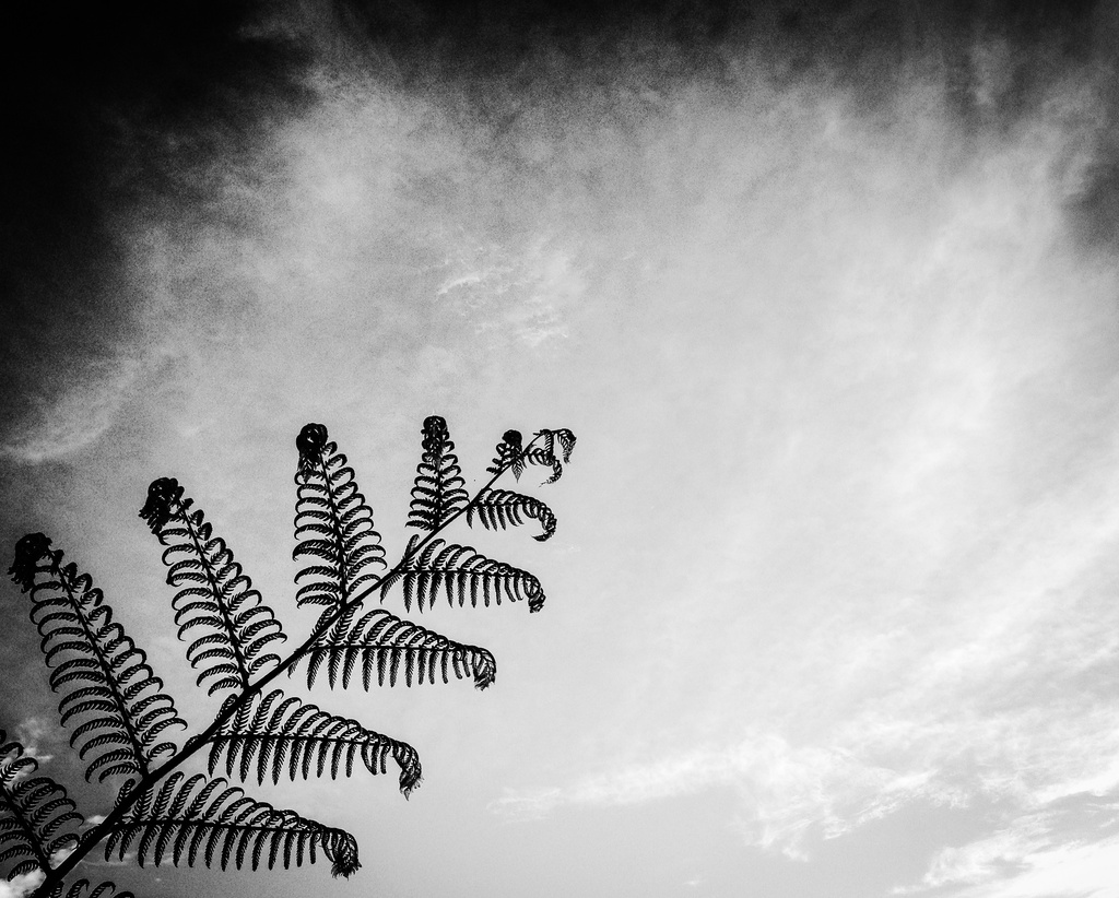 Reach for the sky by abhijit