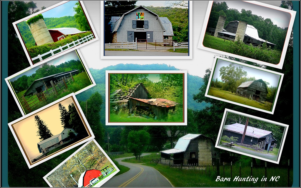 Barn Collage by vernabeth