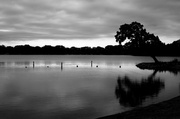 1st Jul 2014 - Morning at the Lake