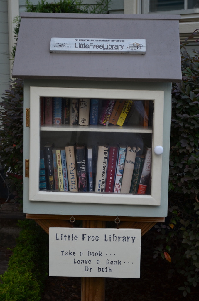 Little Free Library by congaree