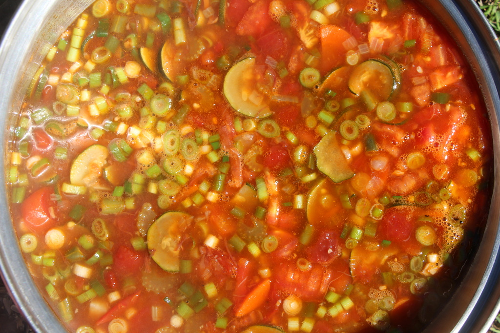 Minestrone by terryliv