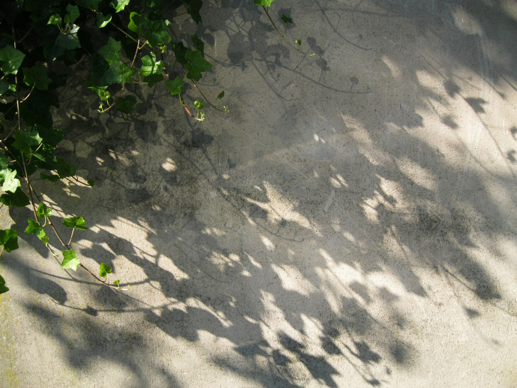 Shadows by angelar
