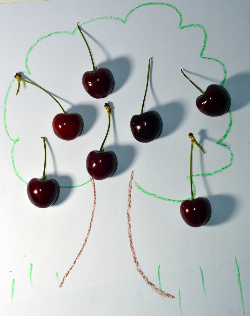 Cherry Tree by jayberg