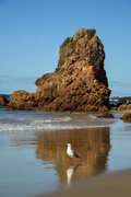 2nd Jul 2014 - Flynns Beach rocks, Port Macquarie