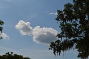 3rd Jul 2014 - Sky and clouds, Magnolia Gardens, Charleston, SC