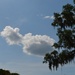 Sky and clouds, Magnolia Gardens, Charleston, SC by congaree