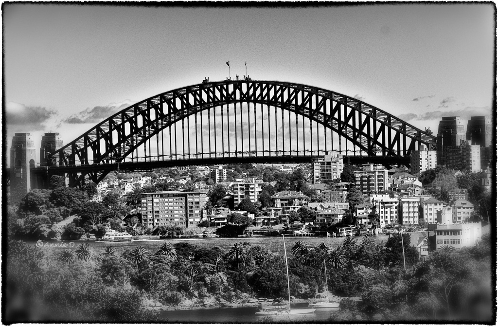 Sydney Harbour Bridge by annied