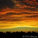 Sunset in Indiana by stownsend