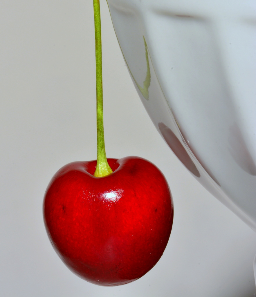 Red & White by jayberg