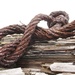 Rusty Knot, Rotten Log by motherjane
