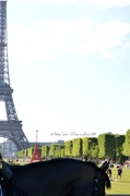 3rd Jul 2014 - The real Eiffel tower, a mini red one and a horse