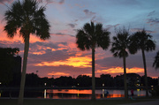 4th Jul 2014 - Sunset, Colonial Lake, Charleston, SC