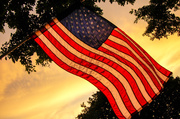4th Jul 2014 - God Bless the USA!