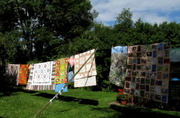 3rd Jul 2014 - Quilts on the line