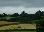 4th Jul 2014 - Busy getting the bales in.....