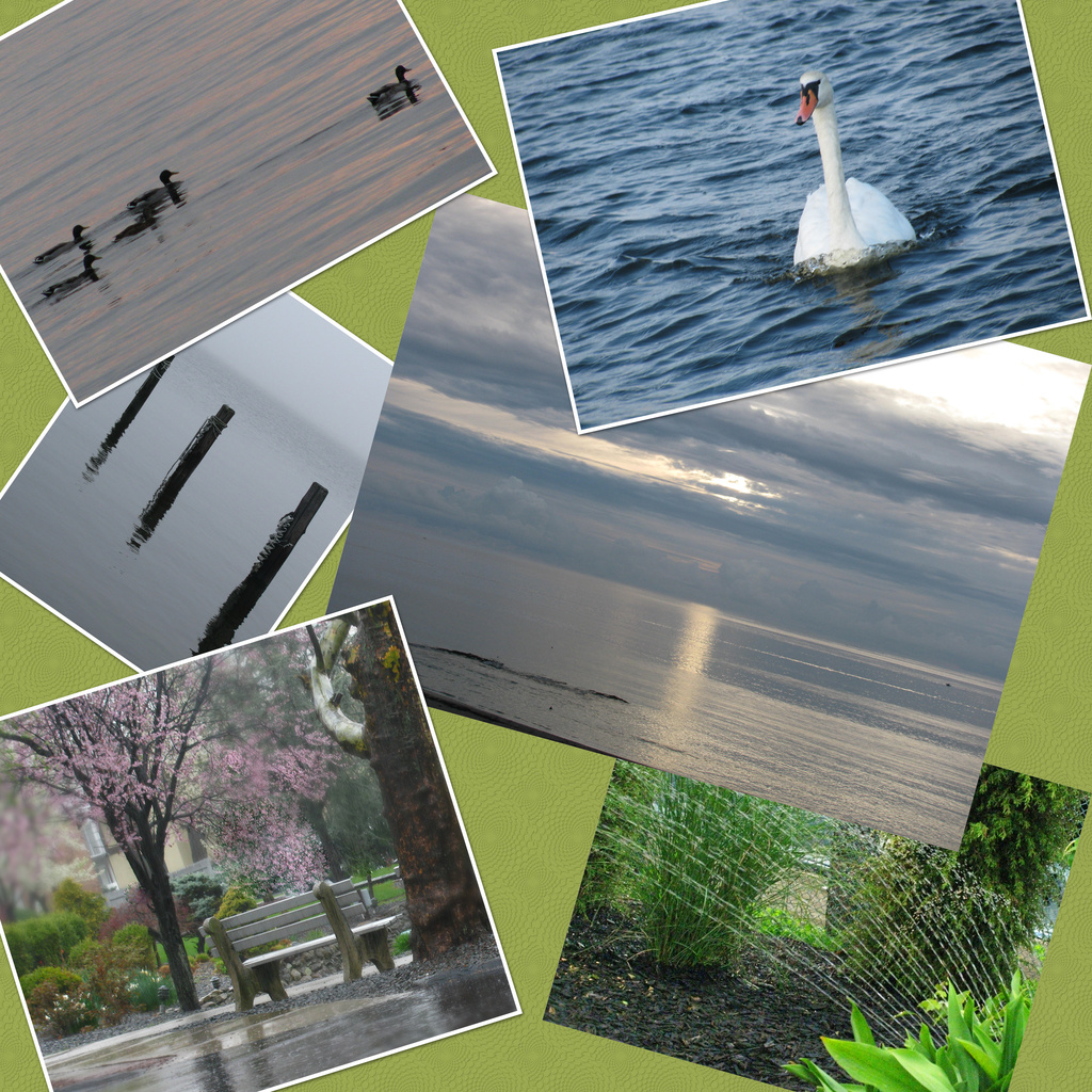 Water Theme--Six Photo Collage by april16
