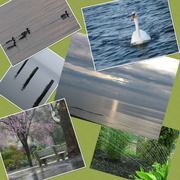 5th Jul 2014 - Water Theme--Six Photo Collage