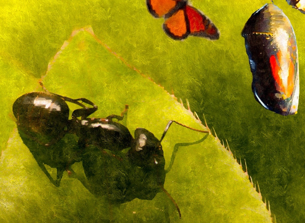   The Ant and the Chrysalis by mzzhope