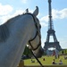 Paris Horse show near the Eiffel tower  by parisouailleurs