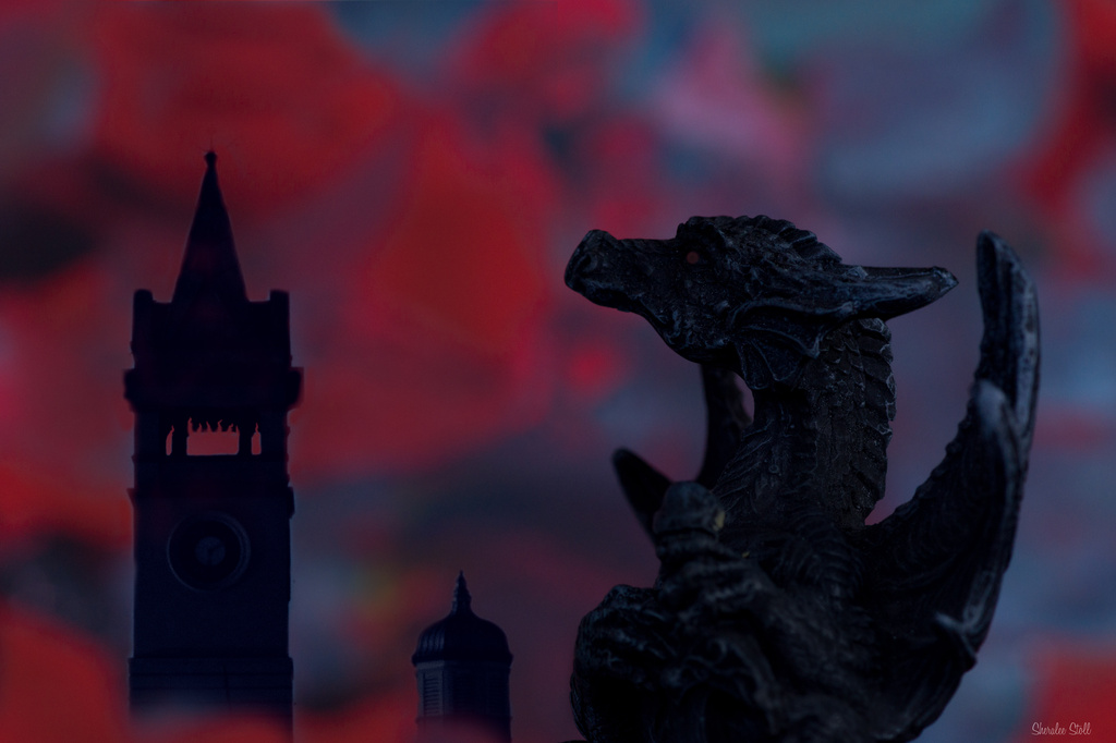 Dragon watches as the city burns by bella_ss