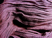 3rd Jul 2014 - Purple scarf