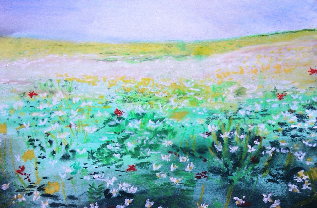 Soft pastel drawing of machair  by jennymdennis