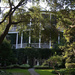 Charleston historic district by congaree
