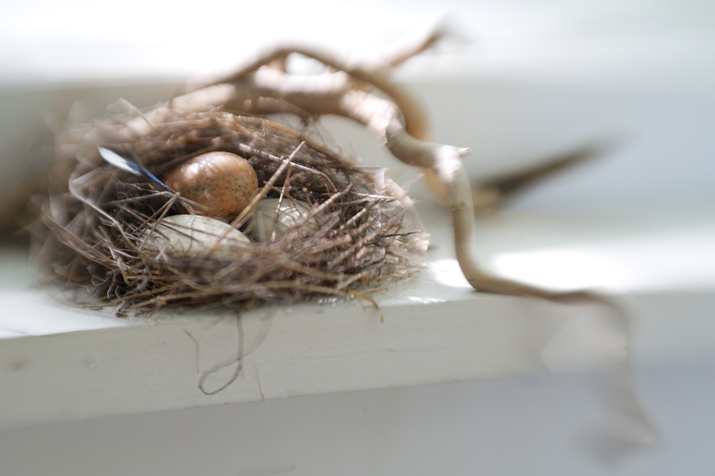 Lensbaby 1.  The Nest by taffy