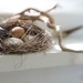 Lensbaby 1.  The Nest by taffy