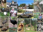 6th Jul 2014 - Our day at Australia Zoo.