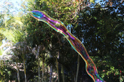 6th Jul 2014 - Rainbow in a Bubble