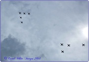 6th Jul 2014 - The Red Arrows