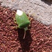 Green Shield Beetle? by plainjaneandnononsense