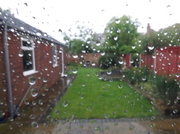 22nd May 2014 - Yup it's definately summer!