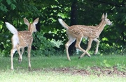 6th Jul 2014 - Baby Day at Disc Golf