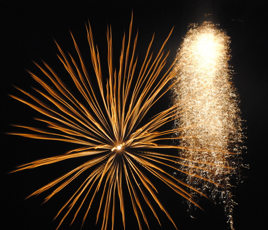 Golden Fireworks by genealogygenie